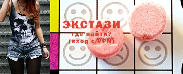 стаф Каменка
