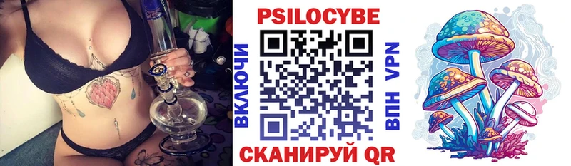купить   Кузнецк  Псилоцибиновые грибы мицелий 